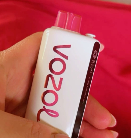 VOZOL Vape – Die Zukunft des modernen Dampfens in Europa